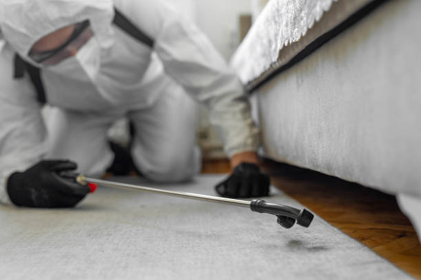 Professional Bed Bug Control technician working in Wales, WI